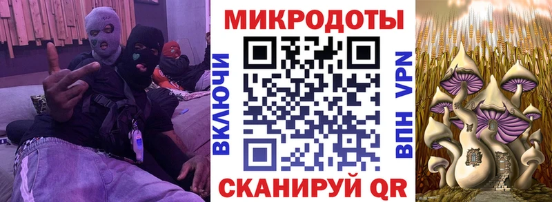закладка Кирово-Чепецк omg вход Псилоцибиновые грибы мухоморы